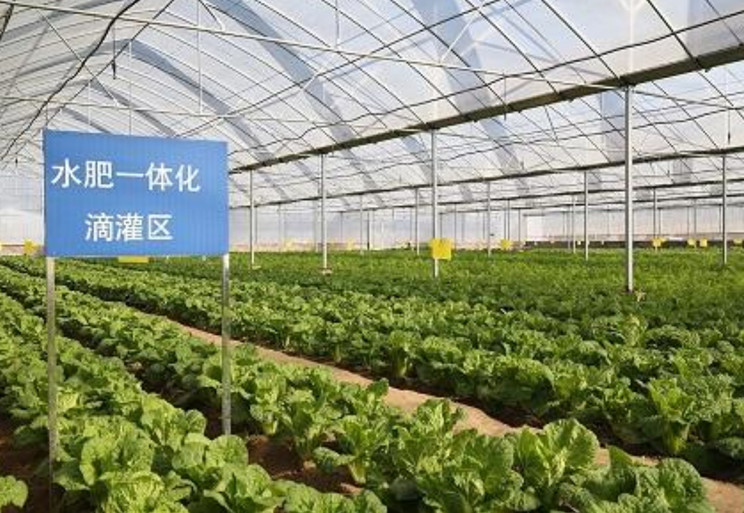 海阳市浩森果蔬种植专业合作社