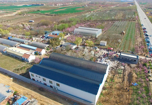 宏顺梅花科普教育基地